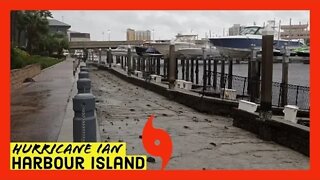 Hurricane Ian Live Stream Downtown Tampa 2022 | Harbour Island