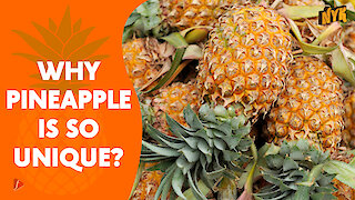 Top 4 Impressive Health Benefits Of Pineapple