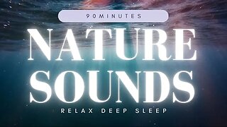 Nature Sounds And Relaxing Music