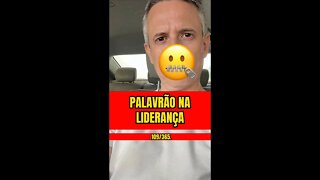 Insight 109/365 - Palavrão Na Liderança