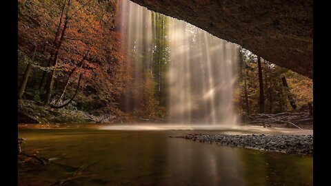 Relajación: Música para Relajarse y Calmar la Mente - Naturaleza