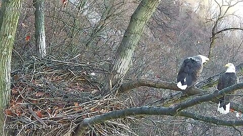 Hays Eagles M and V mate on the escalator! 11-30-2023 8:47am