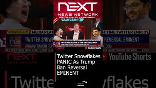 Twitter Snowflakes PANIC As Trump Ban Reversal EMINENT #shorts