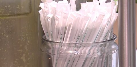 Plastic straw ban in effect on Palm Beach