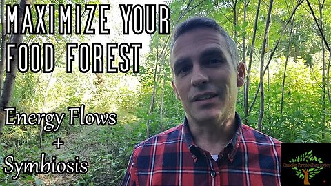 Maximizing your food forest through Energy Flows. Also Symbiosis - defining the what makes us alive