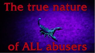 The frog and the scorpion and the fundamental nature of ALL abusers