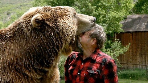 Wrestling A Grizzly Bear In My Garden