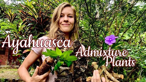Healing with Ayahuasca Admixture Plants, pt, 1