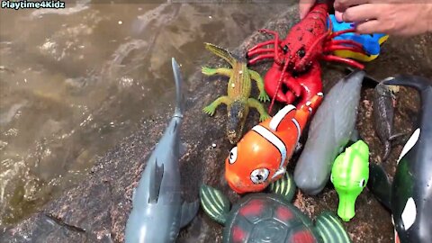 Sea Animal Toys for Kids and Babies