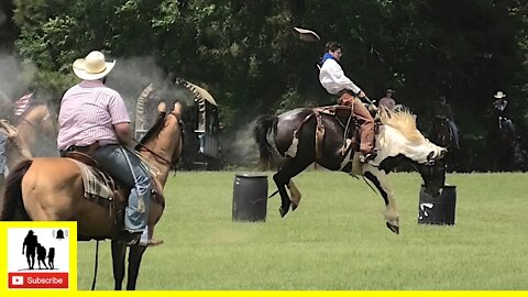 Bronc Fannin' - The 1836 Chuckwagon Races 2022 - Thursday