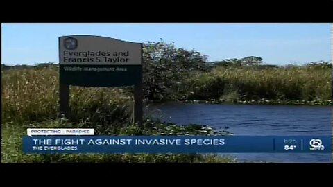 WPTV : Rubio Introduces Bill to Combat Invasive Species to Everglades Restoration