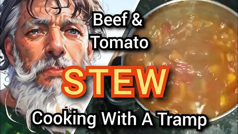 Hobo Style Beef 🍖 And Tomato 🍅 Stew 🍲