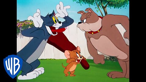 Tom jerry New Episodes cartoon #Tom_Jerry funny 🤣🤣 episode #Animal #cartoon