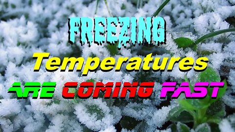 No. 798 – Freezing Temperatures Are Coming Fast