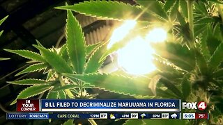 Bill filed to decriminalize marijuana in Florida
