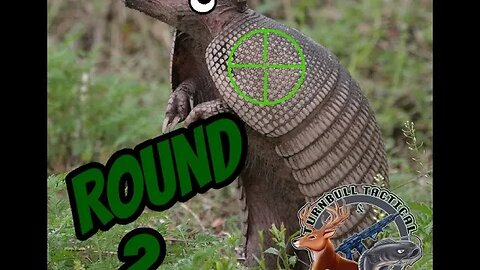 Armadillo Armageddon 2: Electric Boogaloo