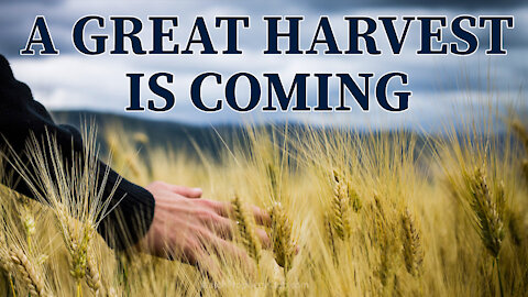 A Great Harvest is Coming 10/01/2021