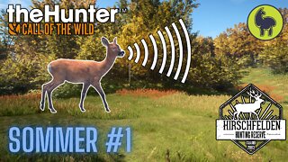 The Hunter: Call of the Wild, Sommer #1 Hirschfelden (PS5 4K)