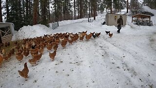 Let's Talk About Chickens and Eggs