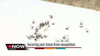 Mosquitoes multiplying in numbers, how to keep them out of your home