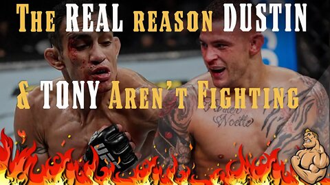 The TRUTH About Dustin and Tony Not Fighting