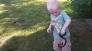 Criança captura cobra com a mão e leva mordida