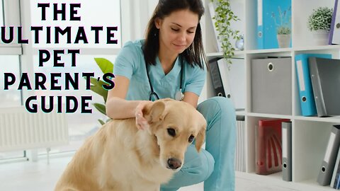 The Ultimate Pet Parent’s Guide