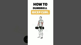 How To DUMBBELL BICEP CURL #short #shorts #shortvideo #ytshorts #fitness #gym