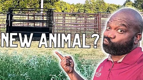 Exploring The Role Of Animals On Our Farm | A Closer Look At Our Livestock