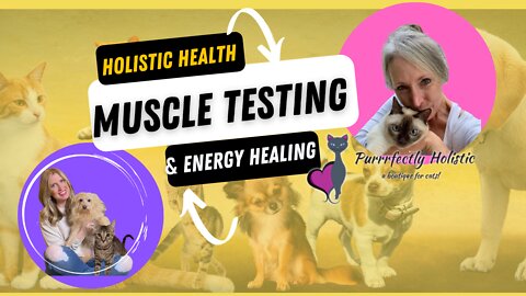 Muscle Testing & Energy Healing For Pets with Pam Roussell of Purrrfectly Holistic