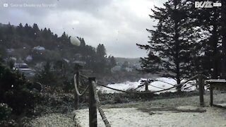 L'écume portée par le vent ressemble à de la neige