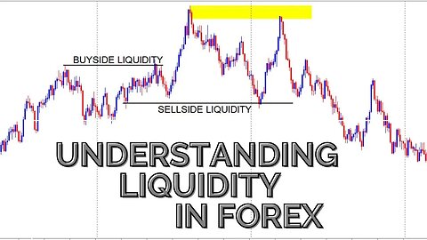 Hustle Trading Fx - Best Way To Look At Liquidity