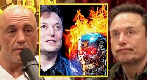 JRE 🔴 ELON MUSK ON THE DANGERS OF A.I❗️
