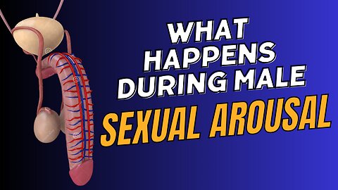 Changes in body during Male Arousal
