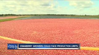 Cranberry growers could face production limits