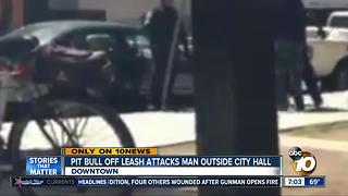 Unleashed pitbull attacks man outside city hall