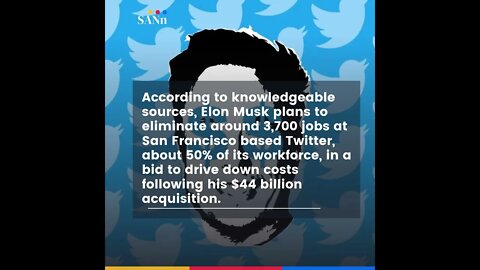 Elon Musk plans to cut 50 percent of Twitter jobs