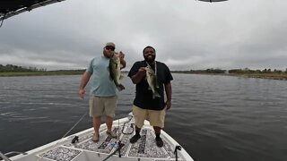 Bass Fishing in My 22' Bay Boat