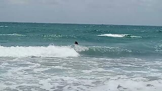 Kerry swimming 🏊‍♂️ 😋 in Florida