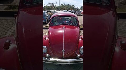 Brasília, Chevete, Parati ...carros antigos
