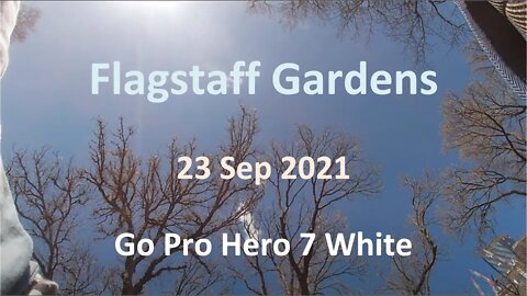 23 Sep 2021 - Flagstaff Gardens for 19 minutes (Go Pro)