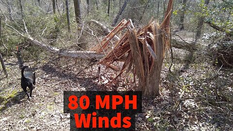 80mph Hurricane Winds in TN! Walk Our Property