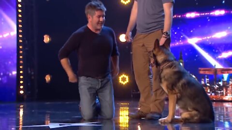 WATCH= DOG MAGIC ON Britains Got Talent