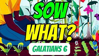 Sow What? | Galatians 6 | Come, Follow Me