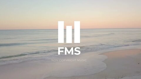 FMS - Free Non Copyright EDM Music #048