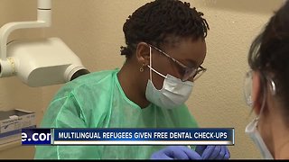 Multilingual refugees given free dental check-ups Friday