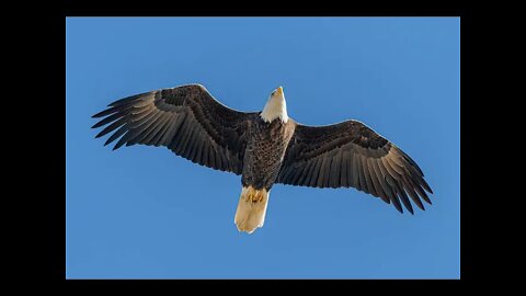 Soaring With Eagles! Day 1 of the Rest of Your Life