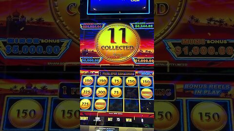 $75 BET JACKPOT ON SAHARA GOLD