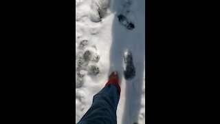 Barefoot hike February 27,2021 part 2