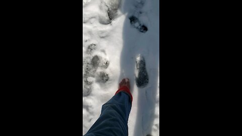 Barefoot hike February 27,2021 part 2